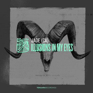 Illusions In My Eyes