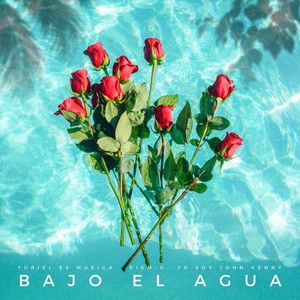 Bajo el Agua