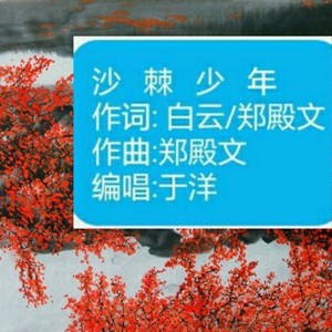 沙棘少年