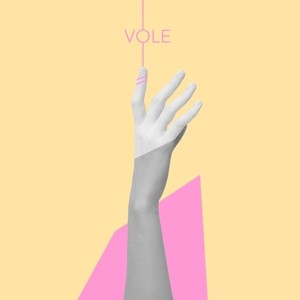 Vole (Offramp Remix)