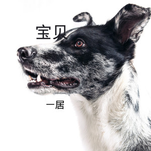 北颂歌