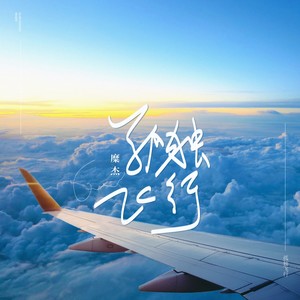 孤独飞行