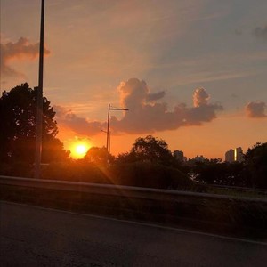 世间万物能相爱