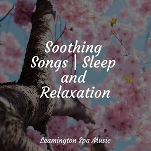 Soothing Songs | Sleep and Relaxation