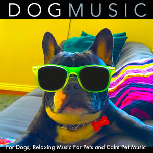 Dog Music - Pet Relaxation Music for Animals