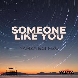 Someone Like You (feat. Siimzo)