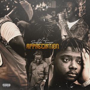 Appreciation (Explicit)