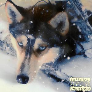 RXDNA (feat. Lil Edwxrdss) (Explicit)