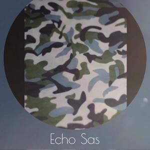 Echo Sas