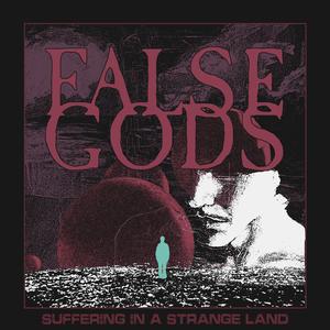 Suffering in a Strange Land