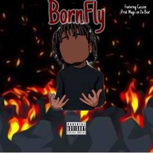 BornFly (Explicit)