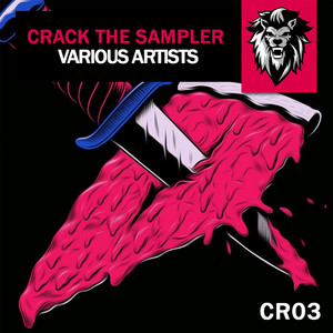 Crack The Sampler #01