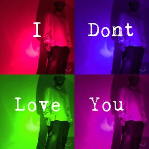 I Don't Love You (Explicit)