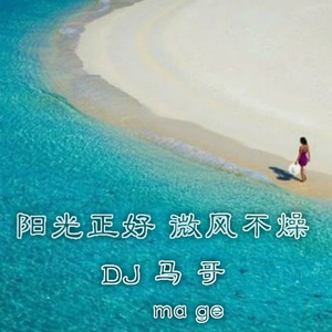 阳光不燥微风正好