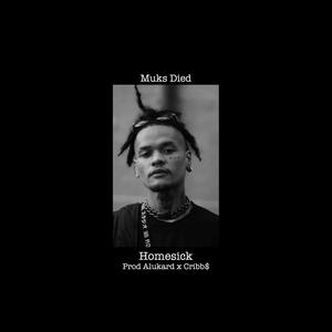 Homesick (feat. Cribb$) [Explicit]