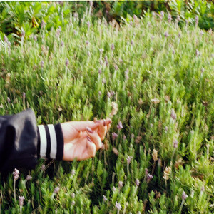 Sobretodo (En la Cama Todo Bien)