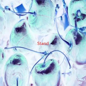 Stand (Karaoke tribute version originally performed by R.E.M)