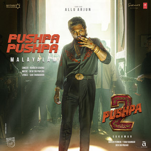 Pushpa Pushpa (From "Pushpa 2 The Rule")