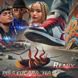 Pisa Cucaracha (feat. Yova Perreo & Ariana Dance) [Remix]