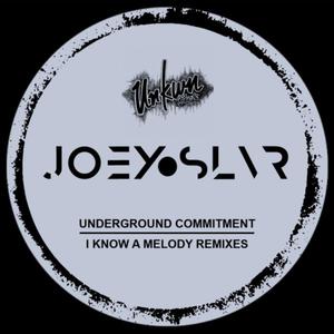 I Know a Melody (Joey SLVR Instrumental Remix)