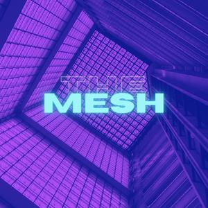 The Mesh