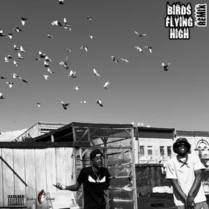 Birds Flying High (feat. Rush33) (Explicit)