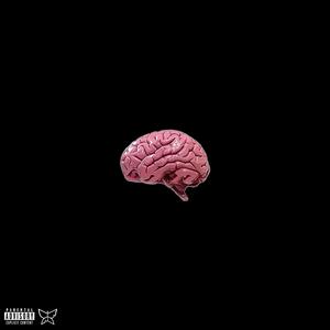 SWITCH BRAIN (feat. AMMA & Nartok) [Explicit]