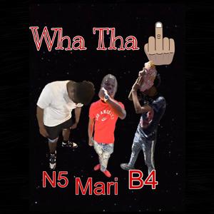 Wha Tha **** (feat. N5sumsicc & HNR B4) [Explicit]