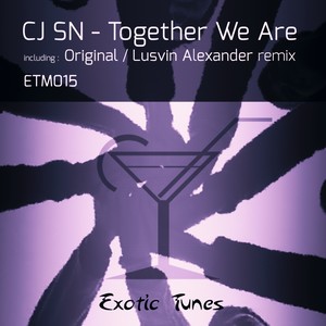 Together We Are (Lusvin Alexander Remix)