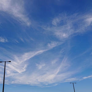 White Cloud