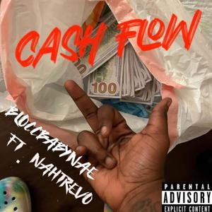 Cash Flow (Explicit)