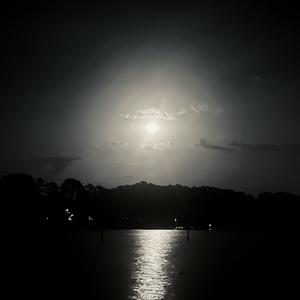 Is This What You Wanted? (feat. twilight⁴⁴⁴)