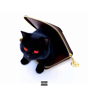 GATA FINA (feat. Yungwave02) (Explicit)