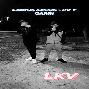 LABIOS SECOS (feat. Peuve) (Explicit)