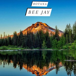 Bee Jay