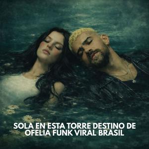 SOLA EN ESTA TORRE DESTINO DE OFELIA FUNK VIRAL BRASIL