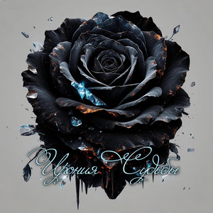 Ирония судьбы