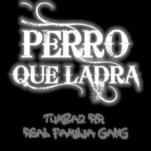 Perro que ladra (feat. Real Familia Gang) (Explicit)