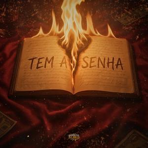Tem a Senha (Explicit)