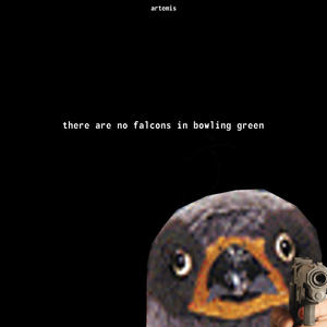 there are no falcons in bowling green