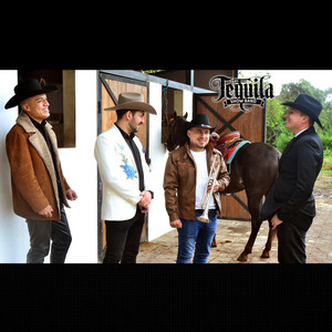 Destrozaste mi alma (Deluxe)