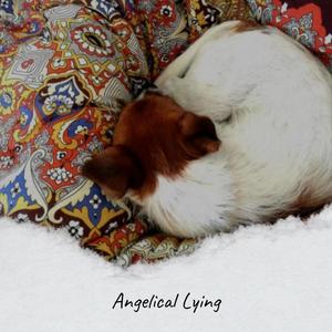 Angelical Lying