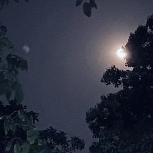 Wind Me (Prod.by drippinshawty)