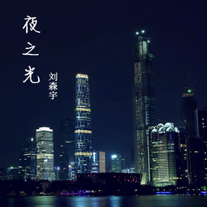 夜之光