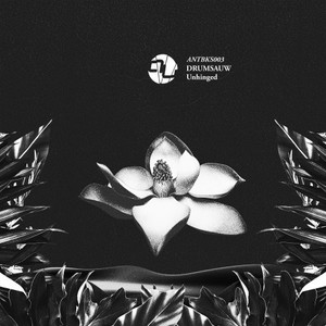 Unhinged (Radio Edit)