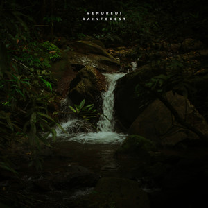 Rainforest