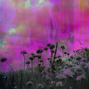 you'll will never disappear (っ˘³(•́ ᵕ •̀)