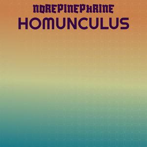 Norepinephrine Homunculus