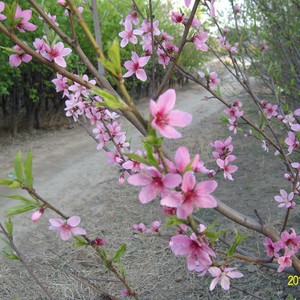 想你的雨季 (伴奏)