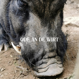 Ode an de Wirt